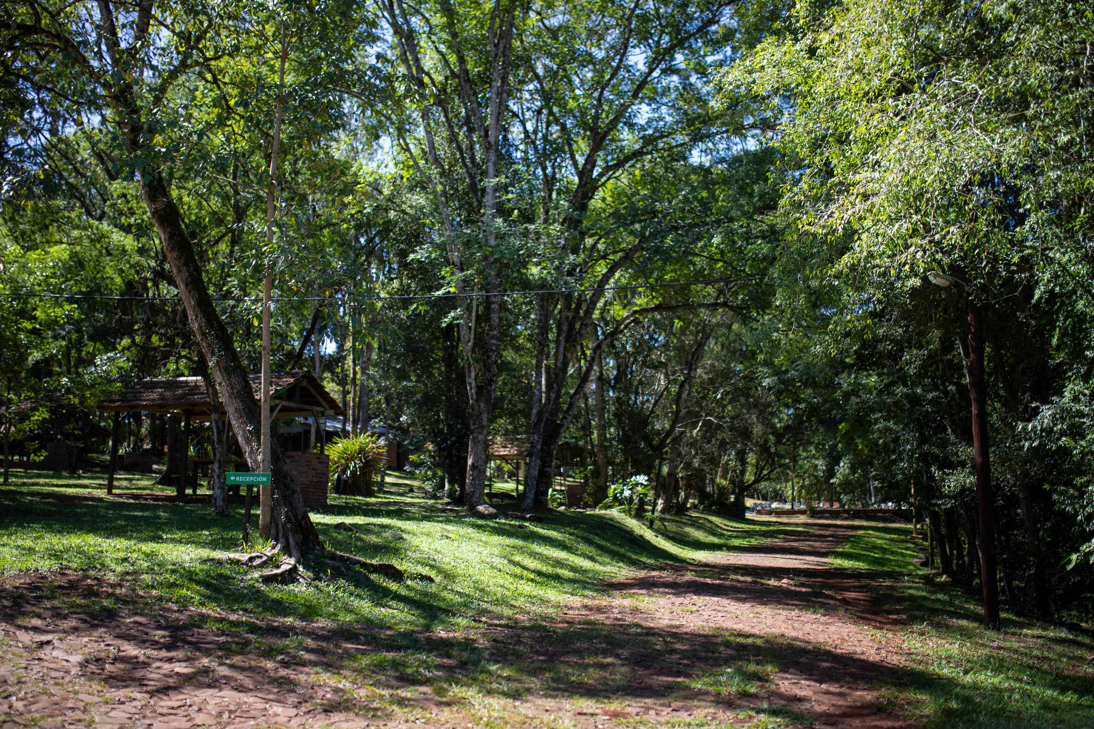 Explorá la biodiversidad de nuestra reserva privada a través de senderos mágicos de tierra colorada.